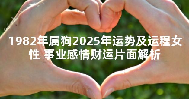 1982年属狗2025年运势及运程女性 事业感情财运片面解